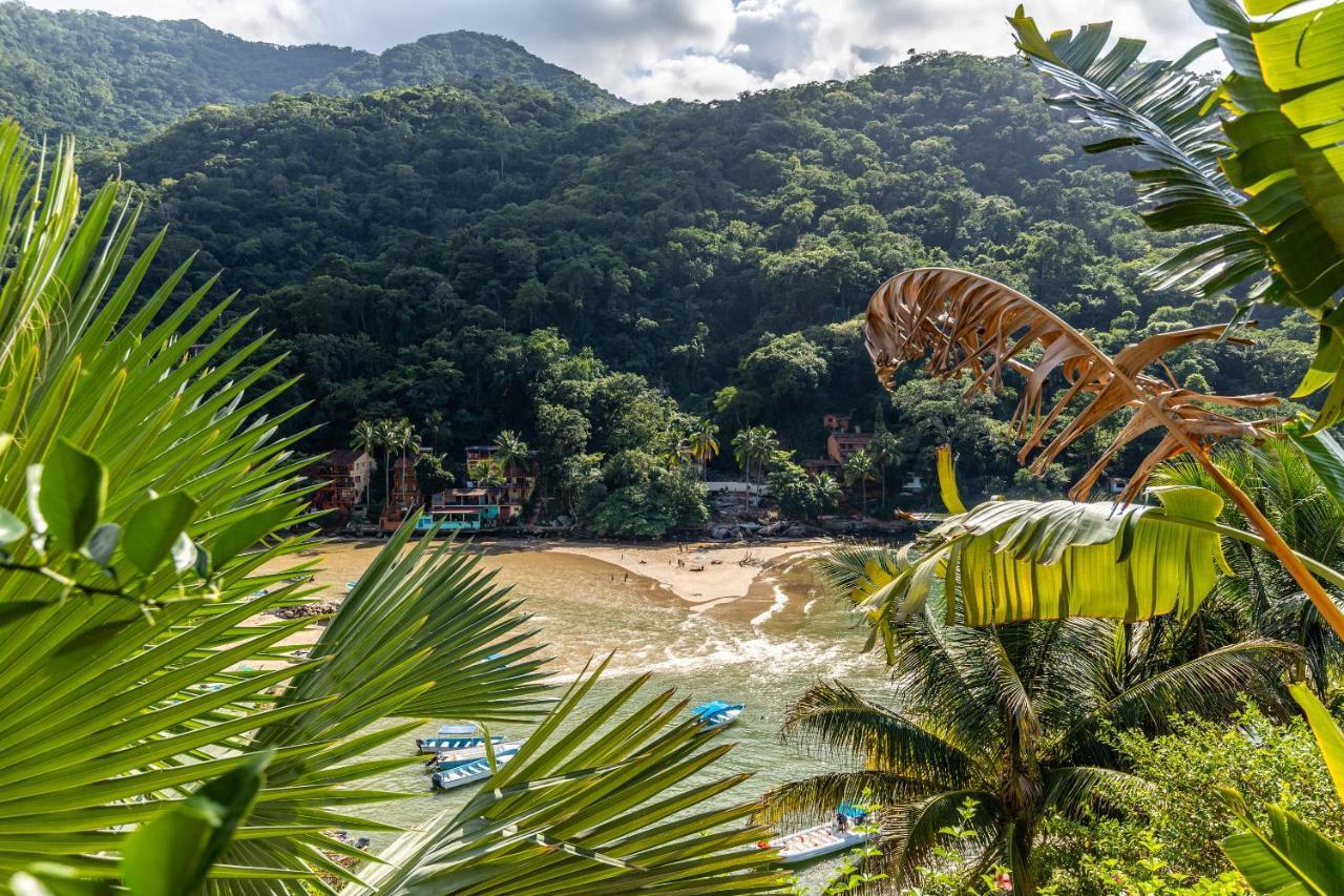 Pv South Shore Luxury Suites And Villa For Rent Puerto Vallarta Exteriör bild
